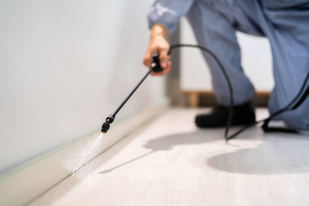 Licensed Rodent Control service in Glenwood City, WI - Nex Pest Control