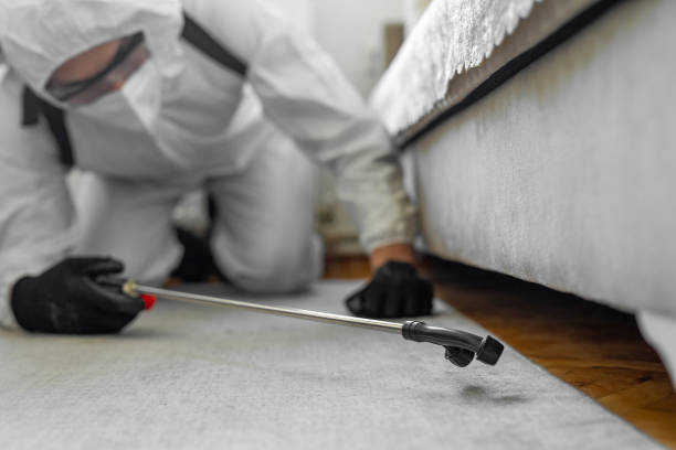 Professional Rodent Control technician working in Glenwood City, WI