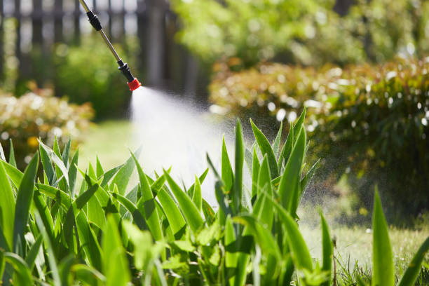 24/7 Emergency Rodent Control experts in Glenwood City, WI