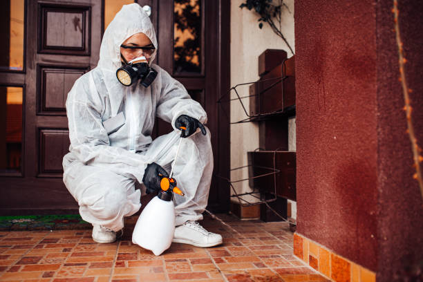 Reliable Rodent Control contractor in Glenwood City, WI by Nex Pest Control